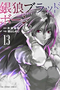 Vol. 13