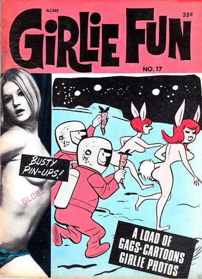 Cover of Issue #17