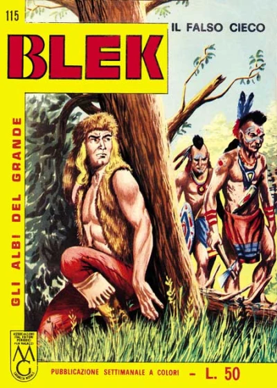 Cover of Il Falso Cieco