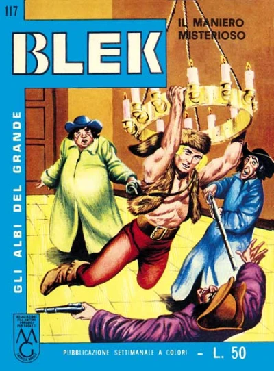 Cover of Il Maniero Misterioso