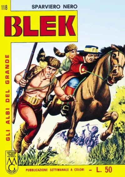 Cover of Sparviero Nero