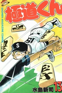 Vol. 13