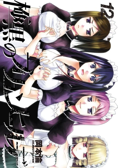 Cover of Volume 12
