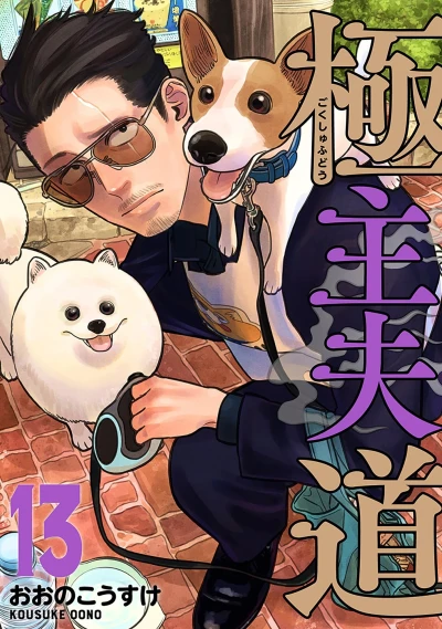 Cover of Vol. 13