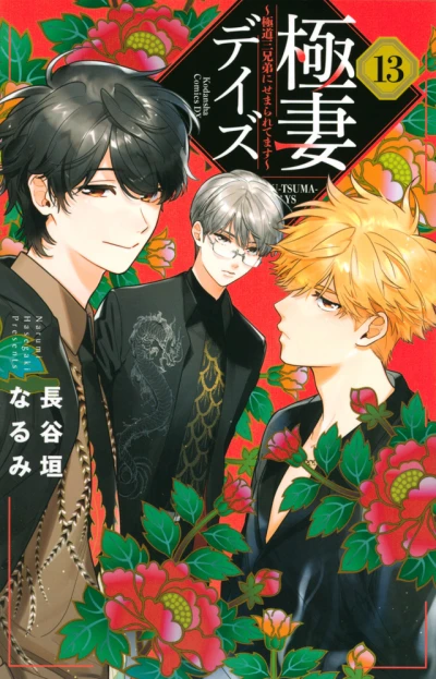 Cover of Vol. 13