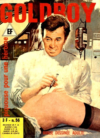 Cover of Piquouse pour une Héroine