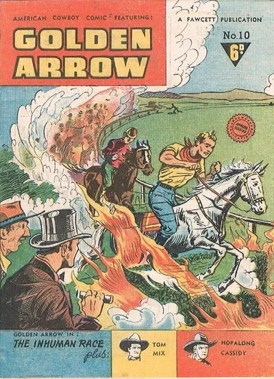 Cover of Issue #10
