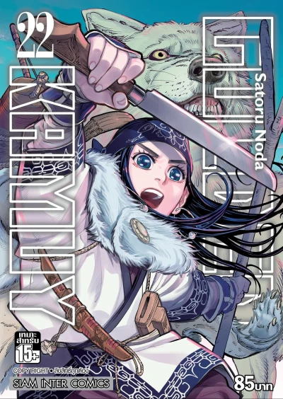 Cover of Volume #22