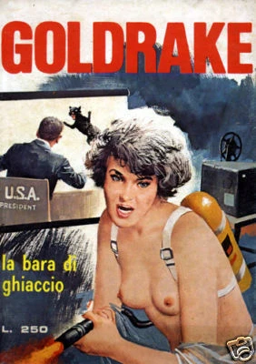 Cover of La Bara di Ghiaccio (222 / II)