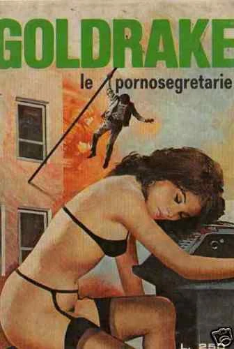 Cover of Le Pornosegretarie (250 / II)