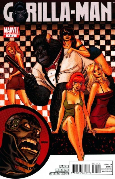 Cover of The Serpent And The hawk