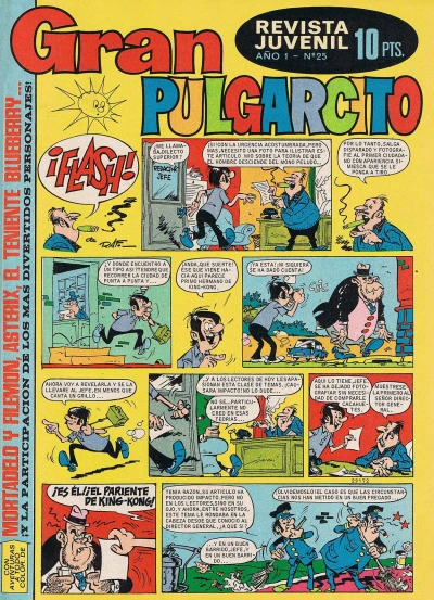 Cover of Issue #25