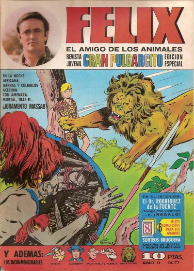 Cover of Issue #72