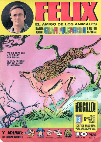 Cover of Issue #75