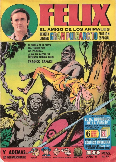 Cover of Issue #78