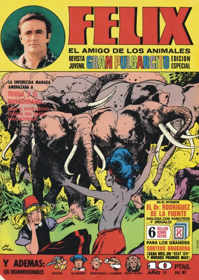Cover of Issue #81