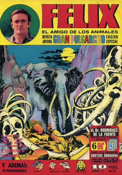 Cover of Issue #82