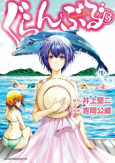 Cover of Vol. 13