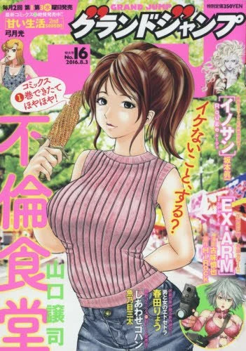 Cover of No. 16, 2016