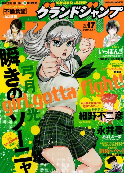 Cover of No. 17, 2016