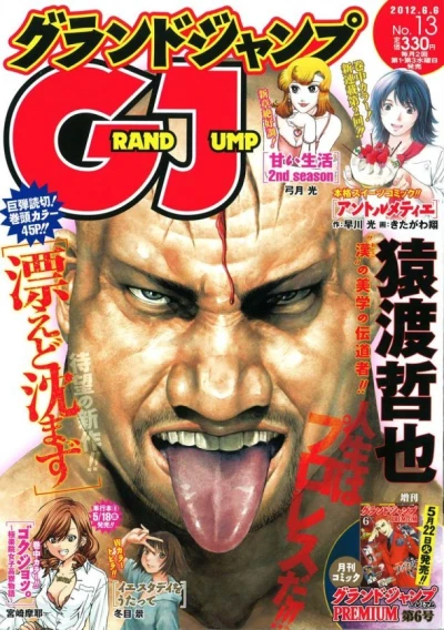 Cover of No. 13, 2012