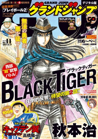 Cover of No. 11, 2017