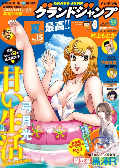 Cover of No. 15, 2017