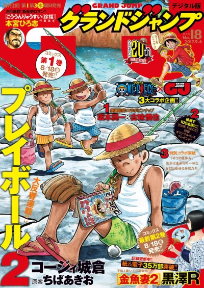 Cover of No. 18, 2017