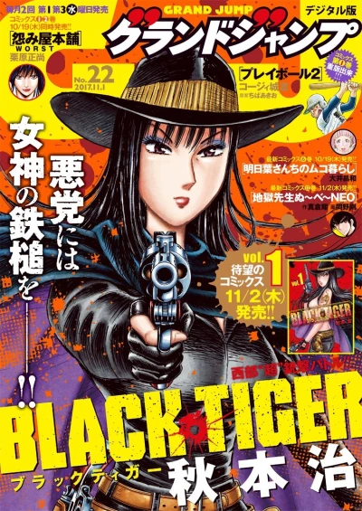 Cover of No. 22, 2017