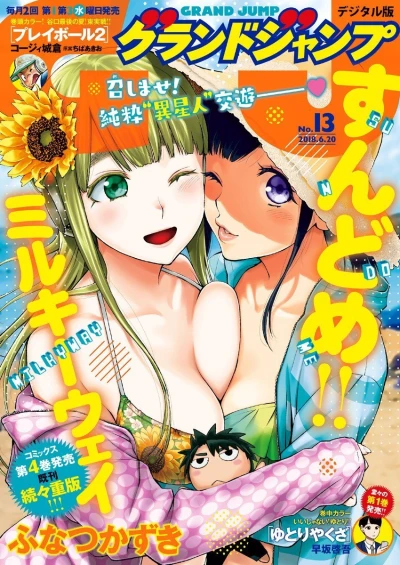 Cover of No. 13, 2018