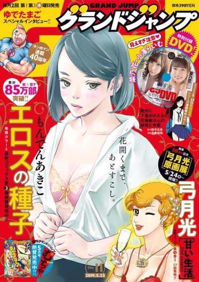 Cover of No. 11, 2019