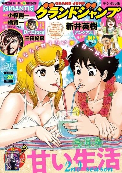 Cover of No. 20, 2021