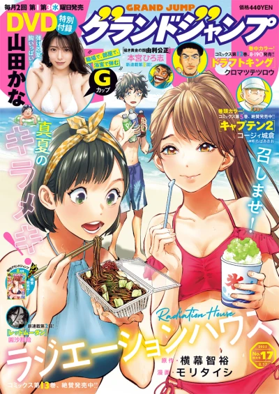 Cover of No. 17, 2022