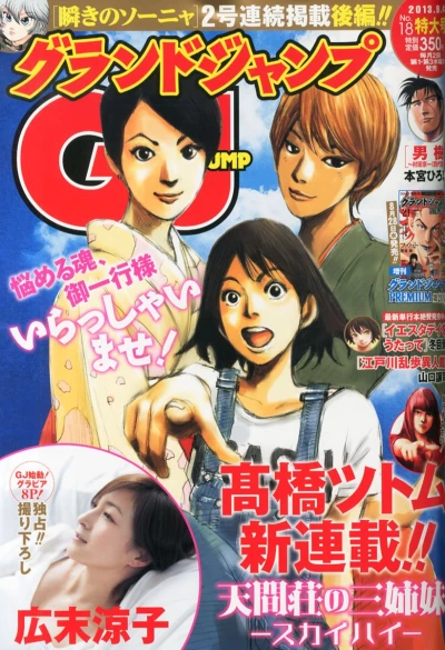 Cover of No. 18, 2013