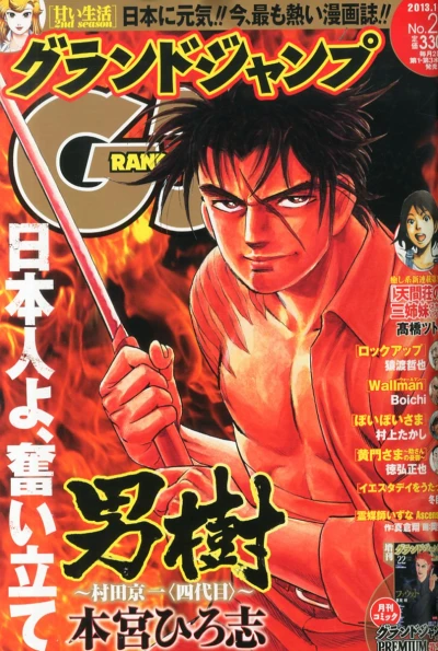 Cover of No. 20, 2013