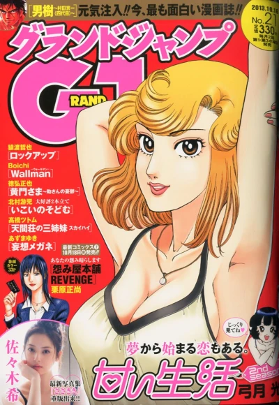 Cover of No. 21, 2013