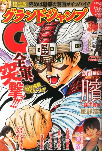 Cover of No. 22, 2013