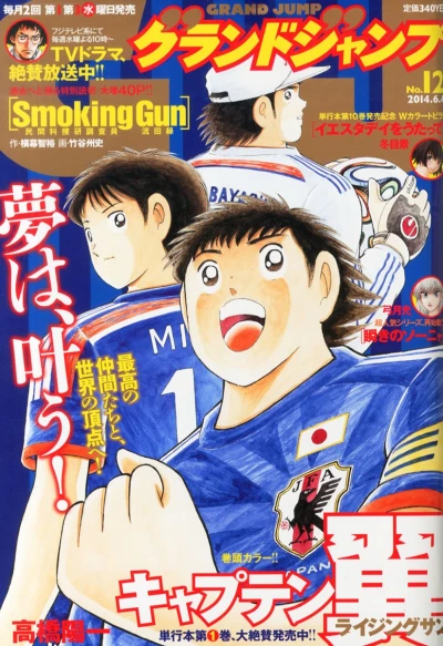 Cover of No. 12, 2014
