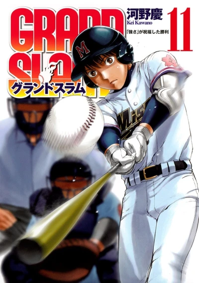 Cover of Vol. 11