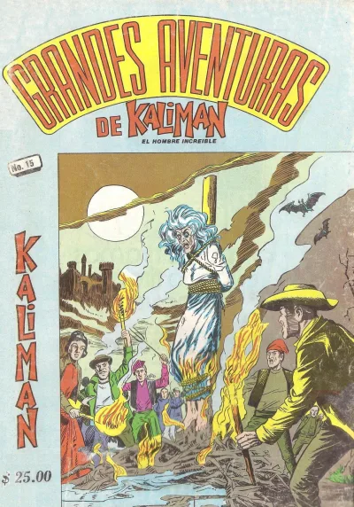 Cover of Issue #15