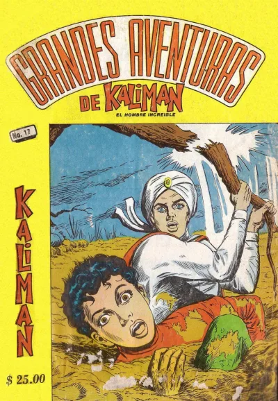 Cover of Issue #17