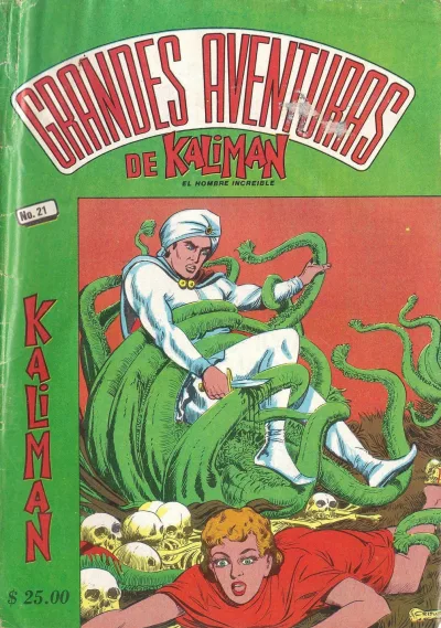 Cover of Issue #21