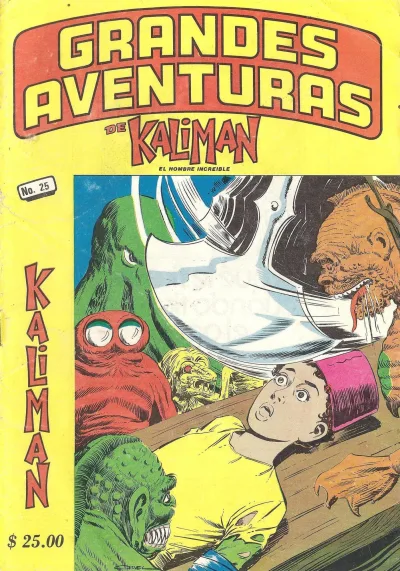 Cover of Issue #25
