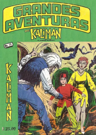 Cover of Issue #29