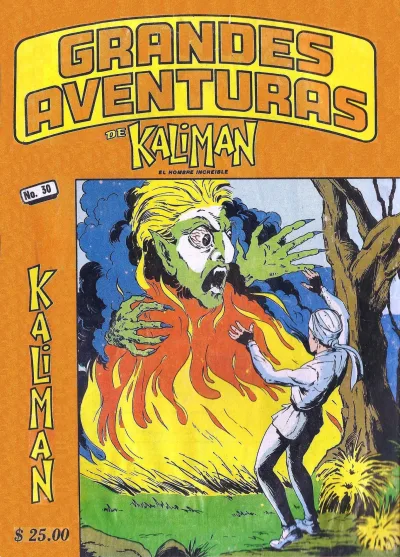 Cover of Issue #30