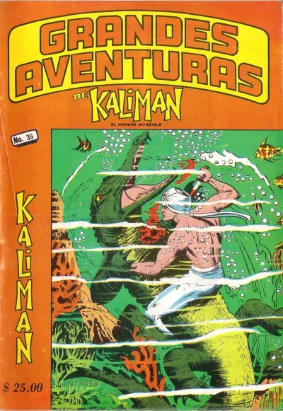 Cover of Issue #35