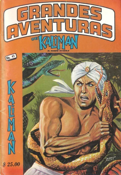 Cover of Issue #41