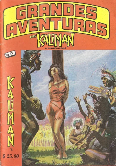 Cover of Issue #43