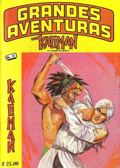 Cover of Issue #45