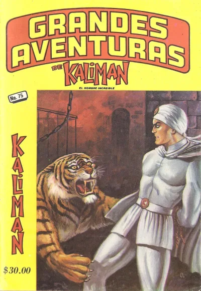 Cover of Issue #75